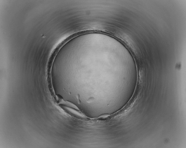 X0000091590780200709101039