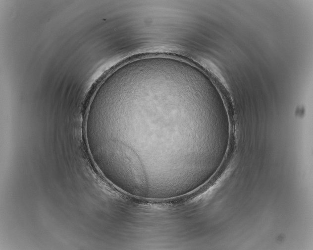 X0000091590781200709101039