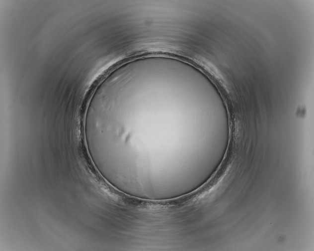 X0000091590782200709101039