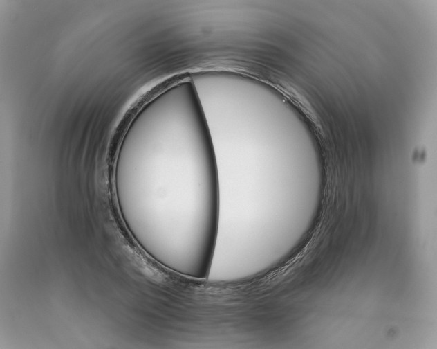 X0000091590784200709101039