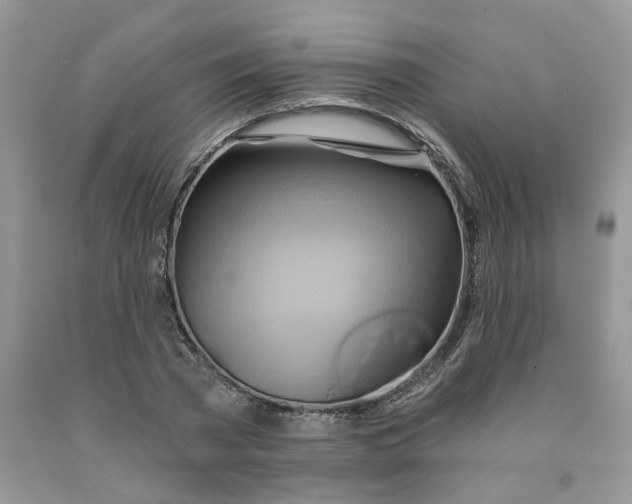 X0000091590785200709101039