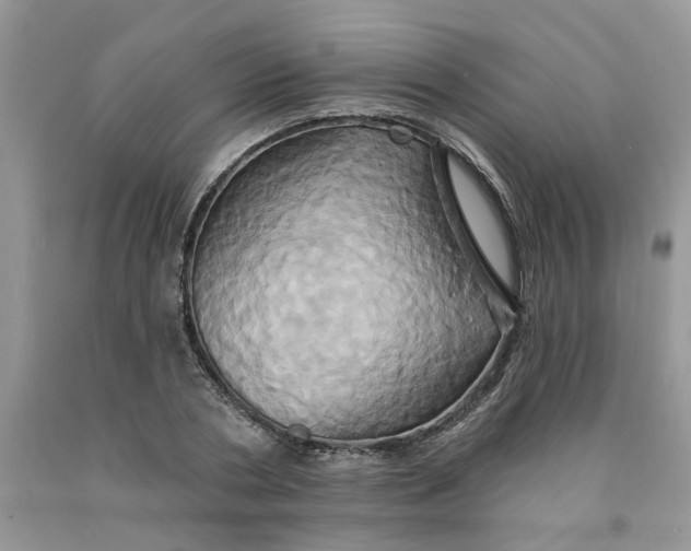 X0000091590786200709101039