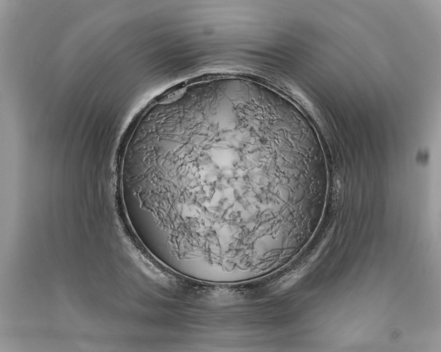 X0000091590787200709101039