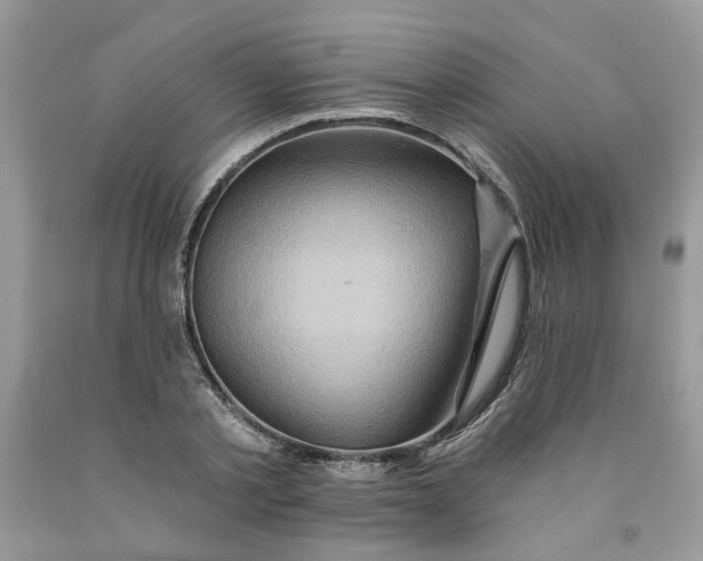 X0000091590789200709101039