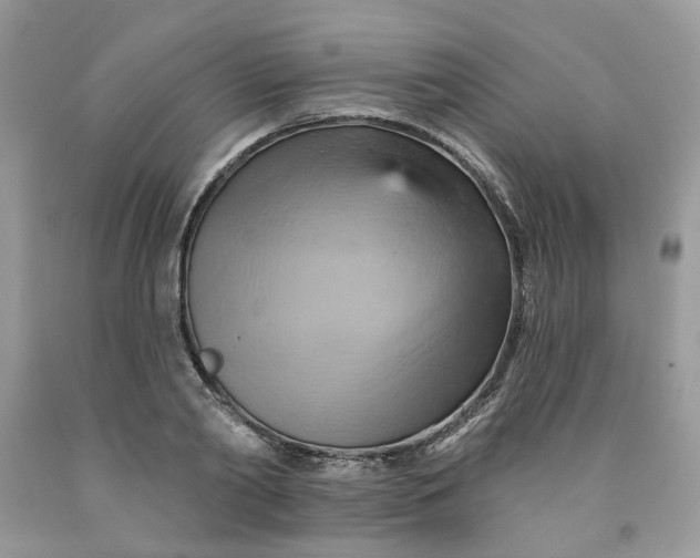 X0000091590790200709101039