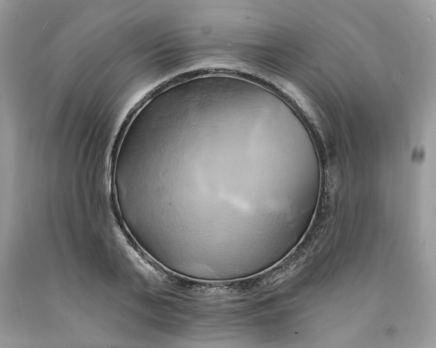 X0000091590791200709101039