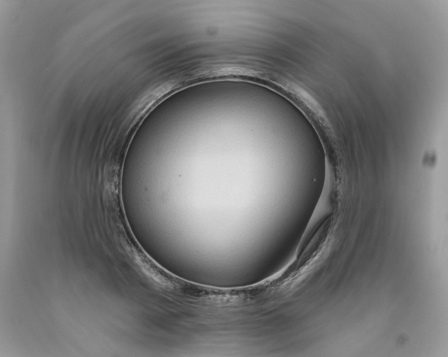 X0000091590793200709101039