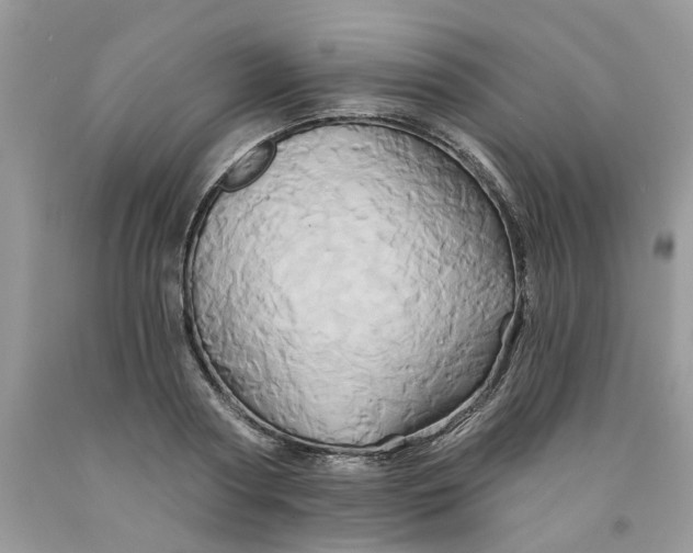 X0000091590794200709101039