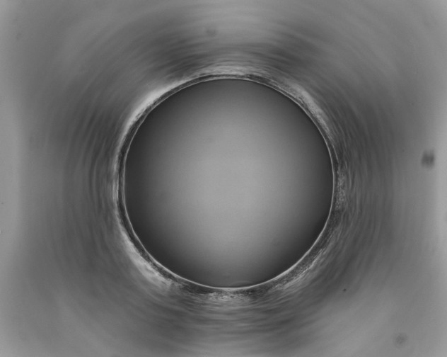 X0000091590795200709101039