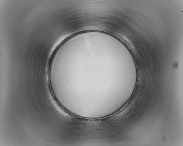 X0000091590796200709101039