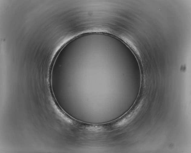 X0000091590797200709101039