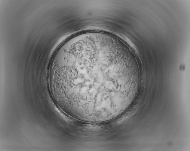 X0000091590799200709101039