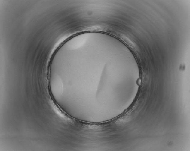 X0000091590800200709101039