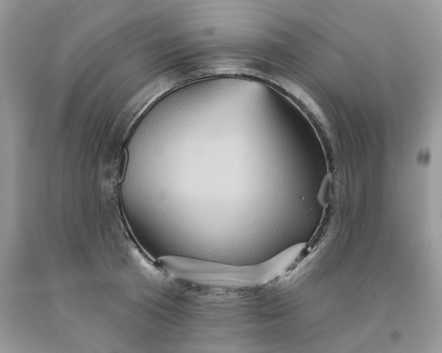 X0000091590801200709101039