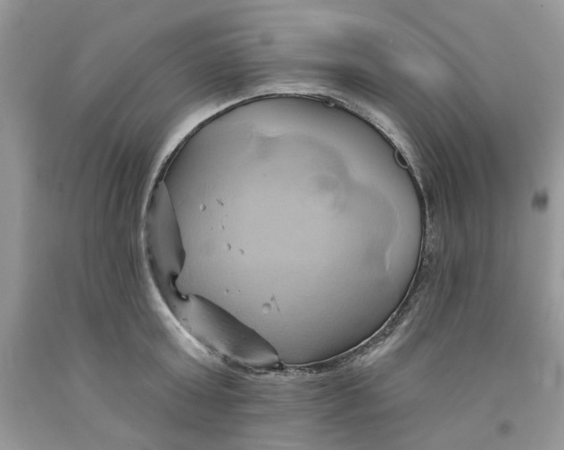 X0000091590803200709101039