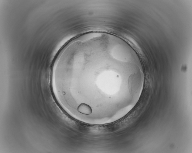 X0000091590804200709101039