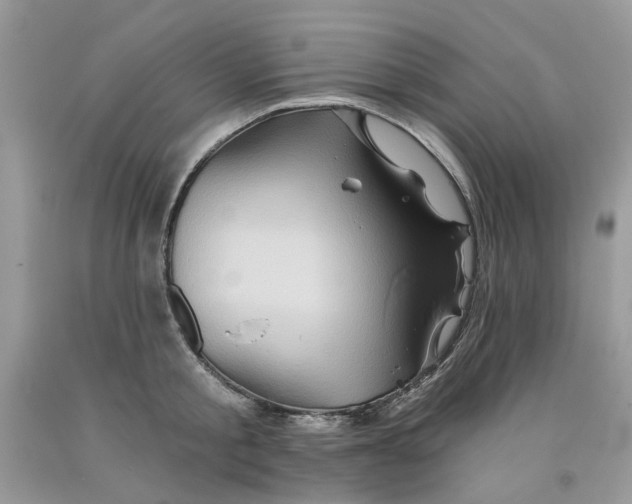 X0000091590805200709101039