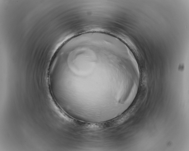 X0000091590806200709101039