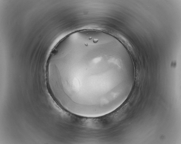 X0000091590808200709101039