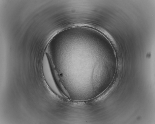 X0000091590809200709101039