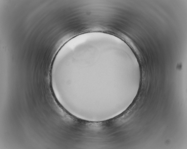 X0000091590810200709101039