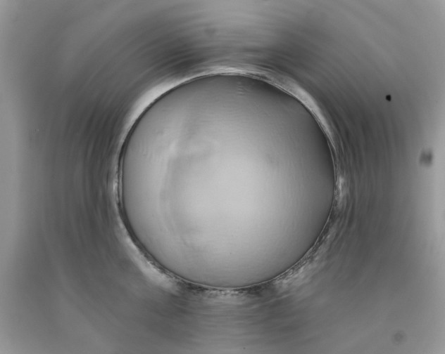 X0000091590811200709101039