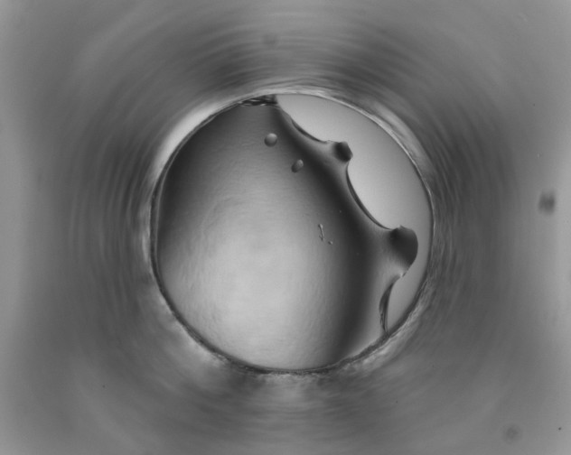 X0000091590812200709101039