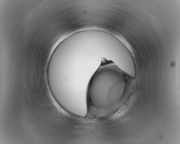 X0000091590813200709101039