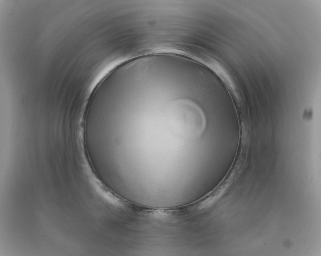 X0000091590814200709101039