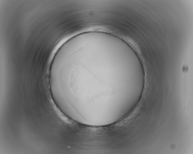 X0000091590816200709101039