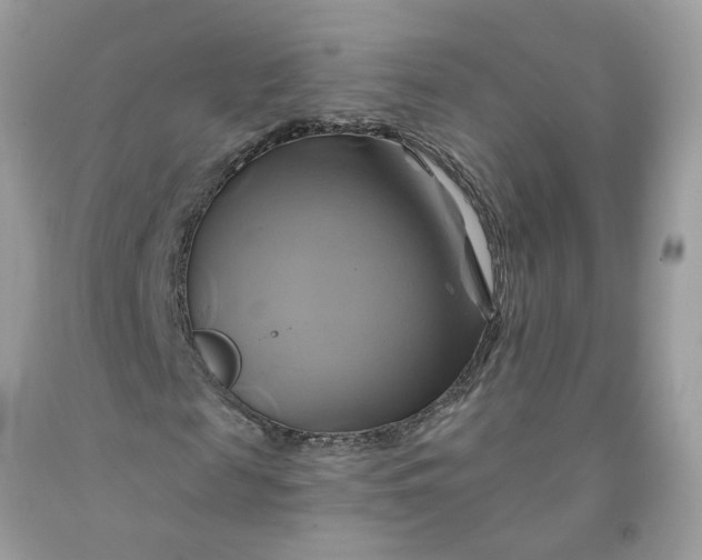 X0000091590817200709101038