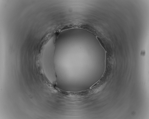 X0000091590818200709101038