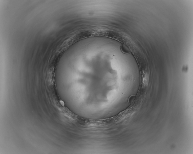 X0000091590819200709101038