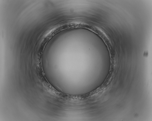 X0000091590823200709101038