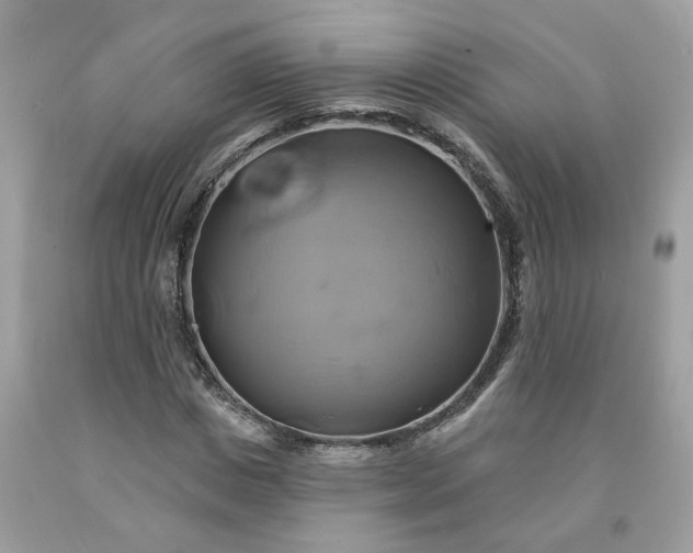 X0000091590825200709101038