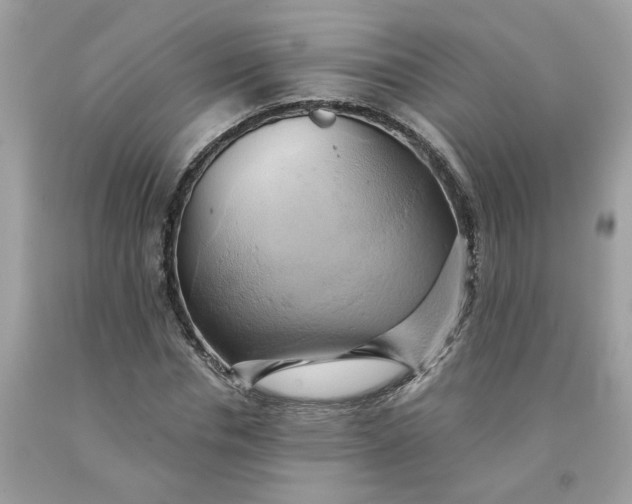 X0000091590826200709101038