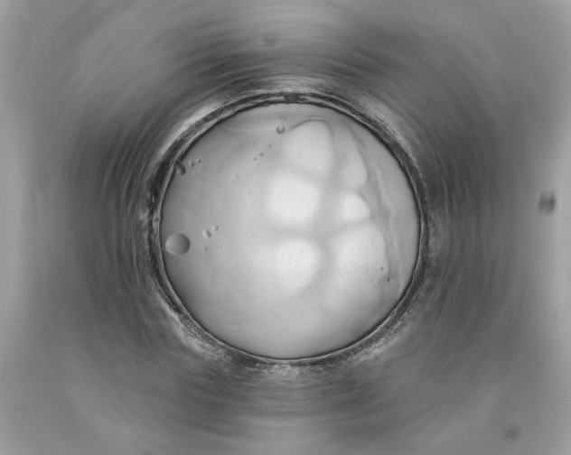 X0000091590827200709101038