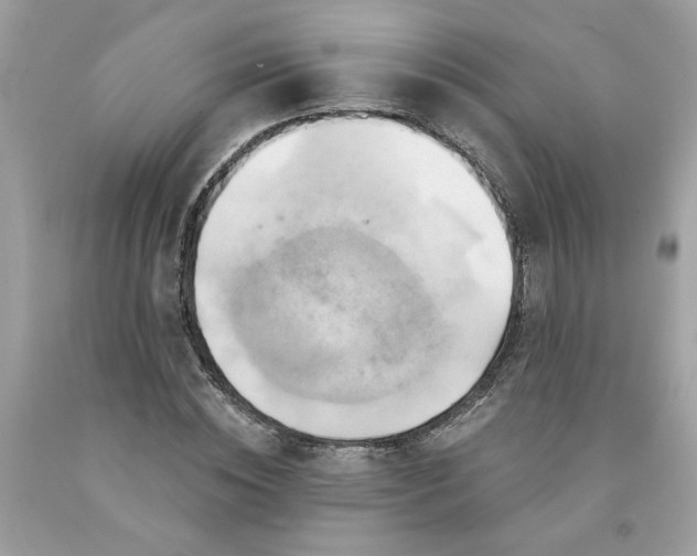 X0000091590828200709101038