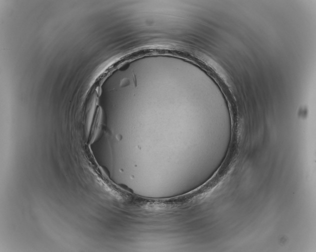 X0000091590829200709101038