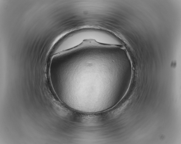 X0000091590830200709101038