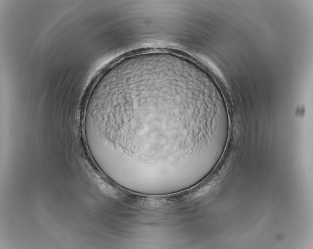 X0000091590831200709101038