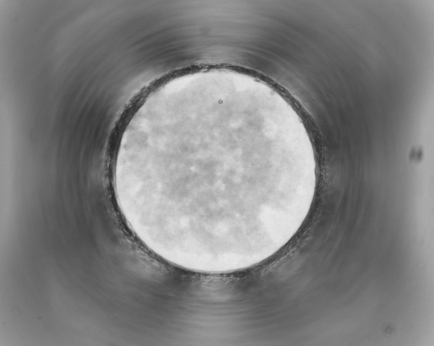 X0000091590832200709101038