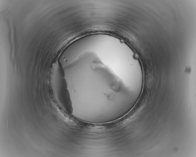 X0000091590833200709101038