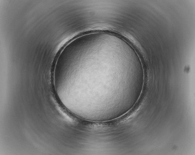 X0000091590834200709101038