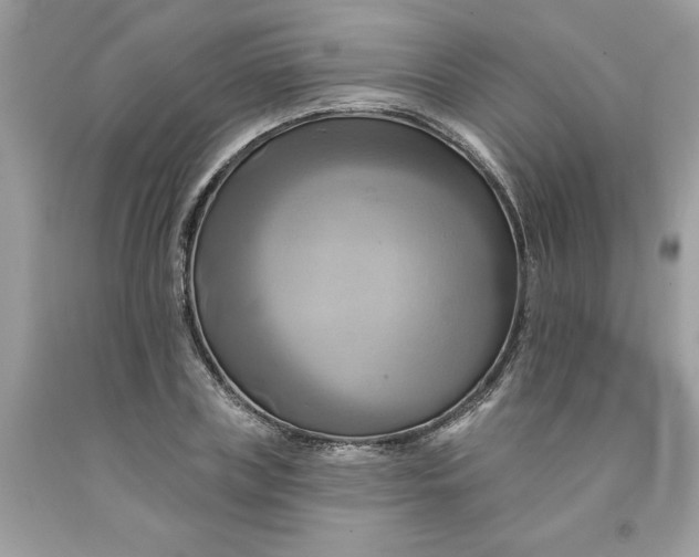 X0000091590835200709101038