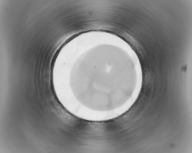 X0000091590836200709101038