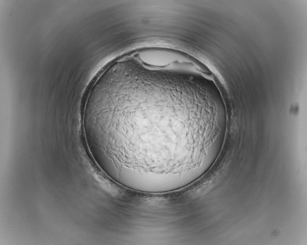 X0000091590837200709101038