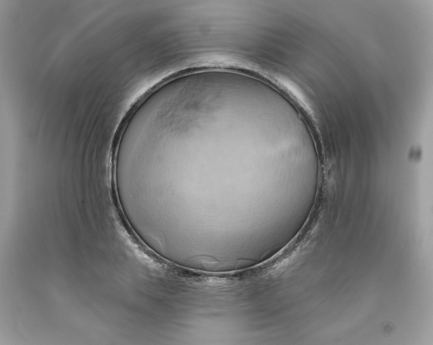 X0000091590839200709101038