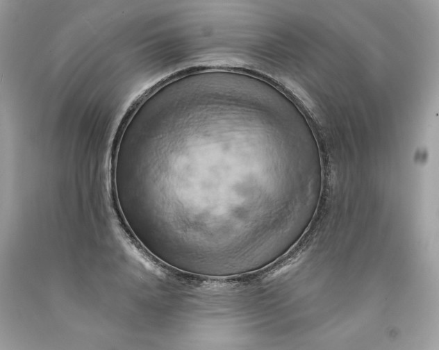 X0000091590840200709101038