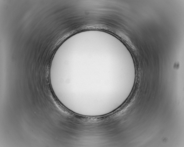 X0000091590841200709101038